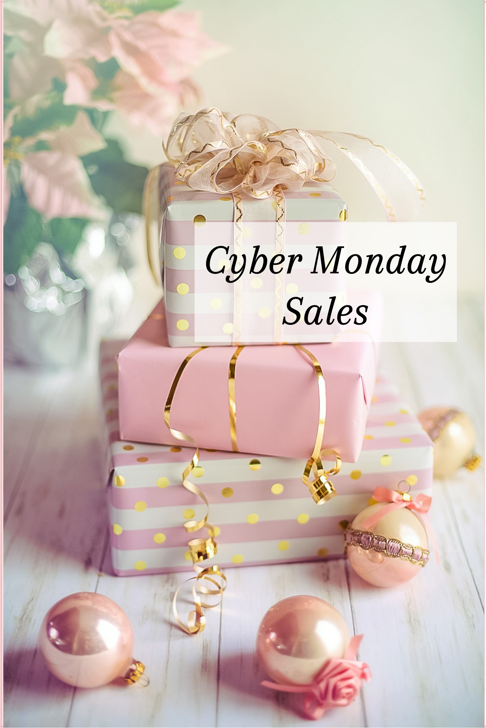 Dianna’s Deals & Steals – Cyber Monday
