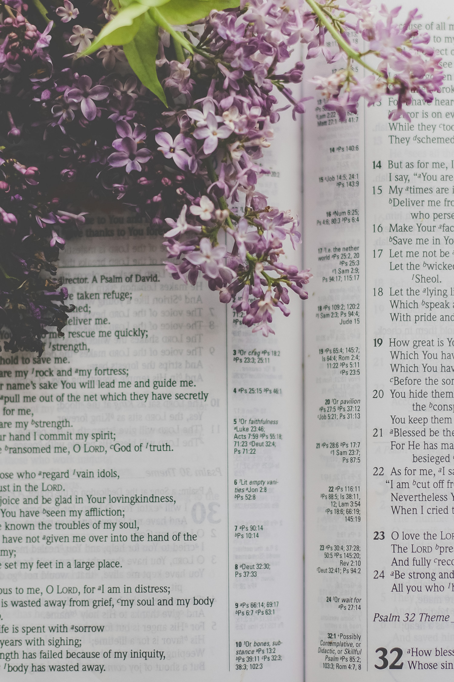 Purple Lilac Flowers Laying on Open Bible