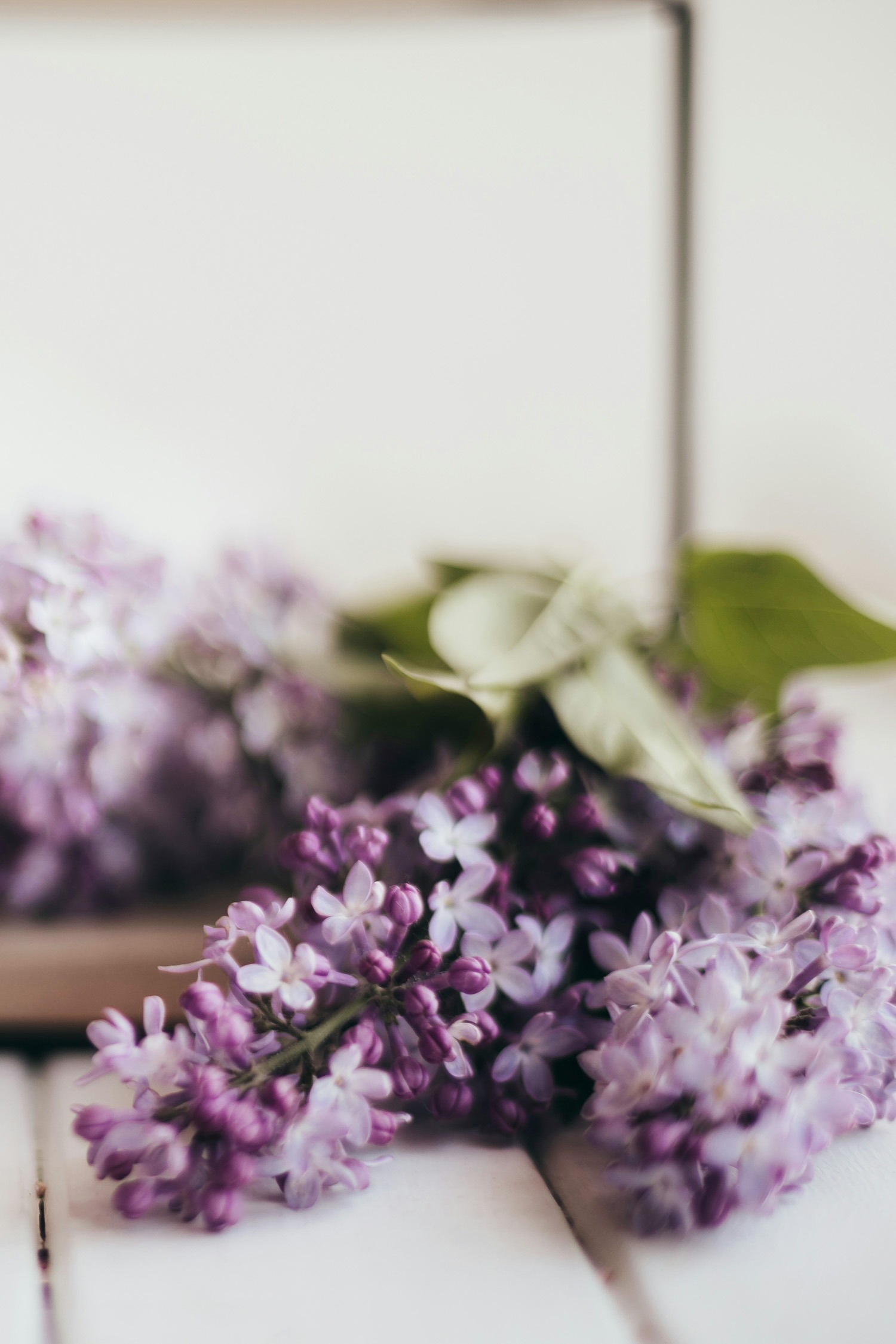 Purple Lilac Flowers Around Shelf